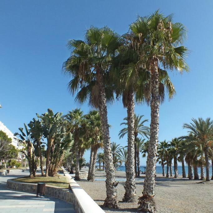 Apartment Acogedor Con 3 Piscinas En Primera Linea De Playa *