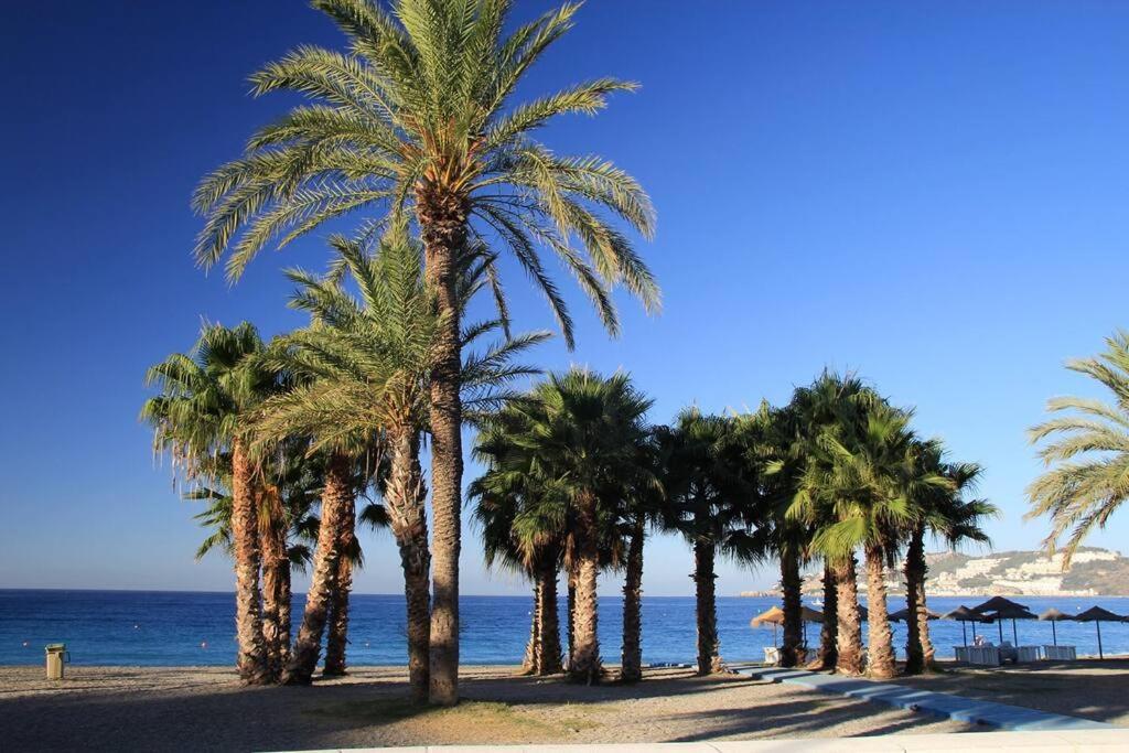 Acogedor Con 3 Piscinas En Primera Linea De Playa Apartment *